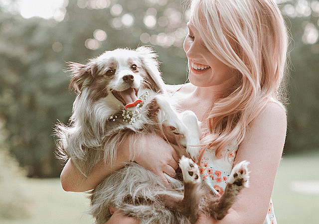 На фото девушка которая держит вруках собаку. Сайт из портфолио веб студии VDcom